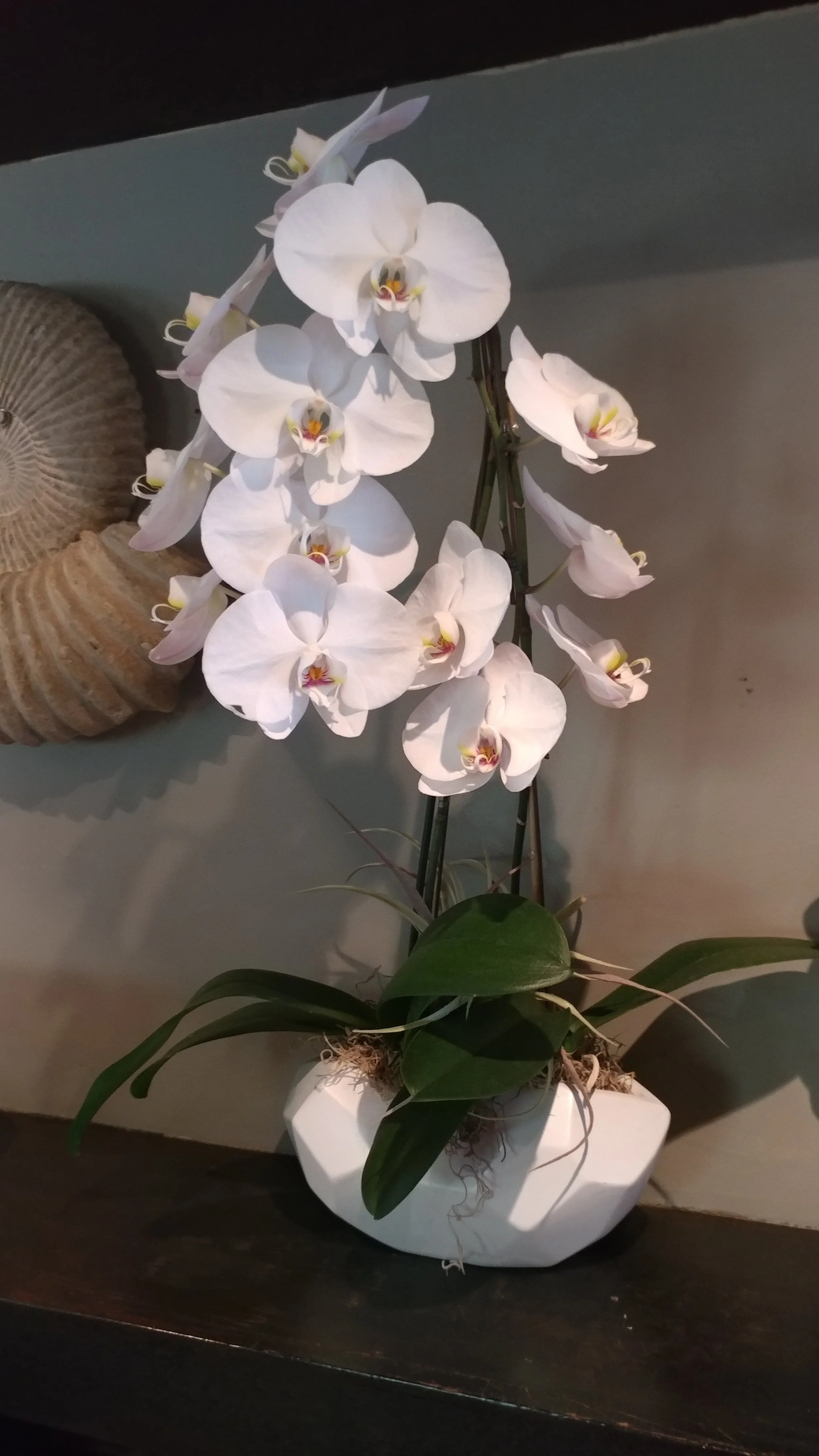 Restaurant Florist-Interior Scapes -events by Julie Jenkins (2).jpg