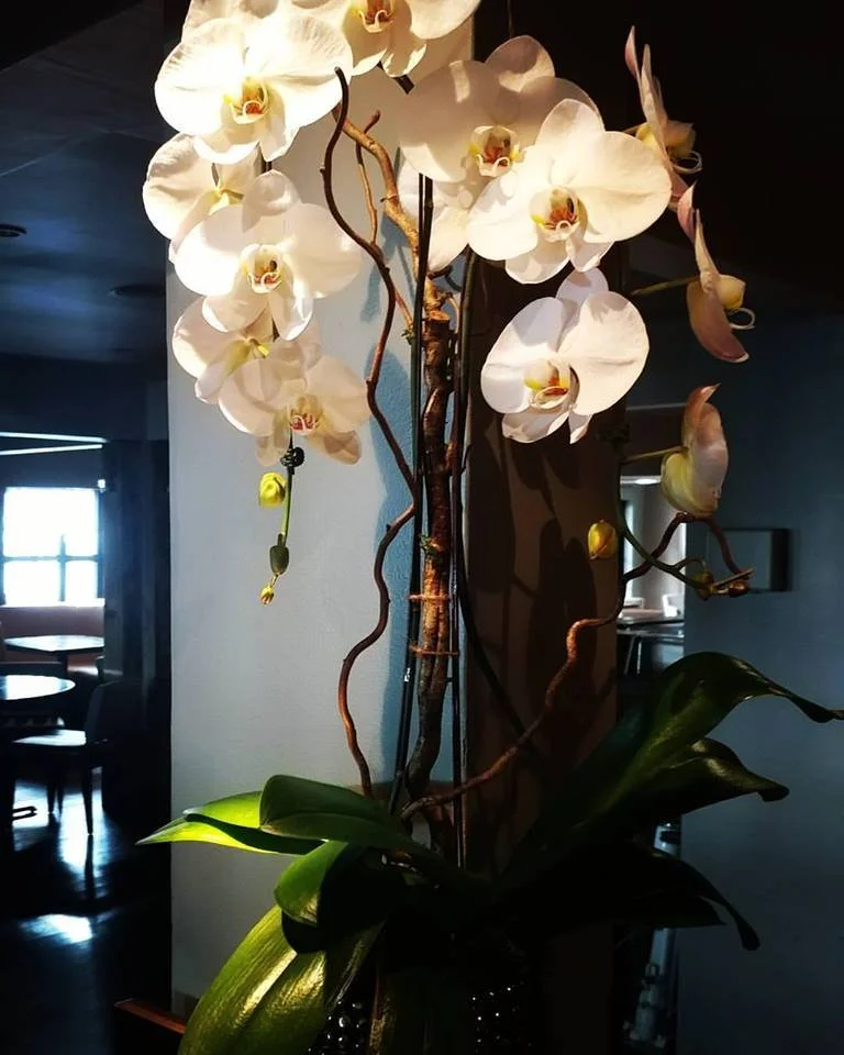 Restaurant Florist-Interior Scapes -events by Julie Jenkins (39).jpg