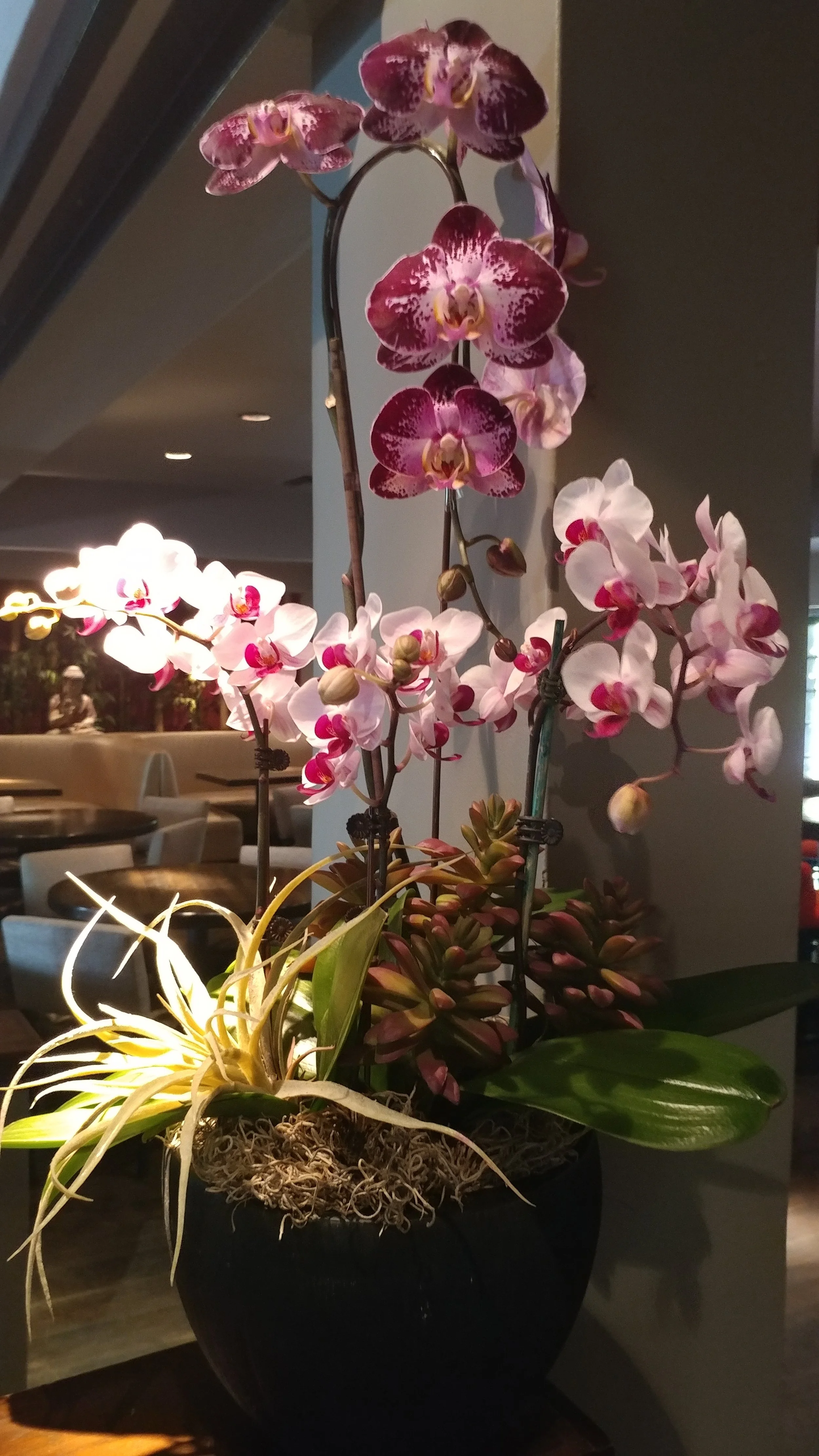 Restaurant Florist-Interior Scapes -events by Julie Jenkins (6).jpg