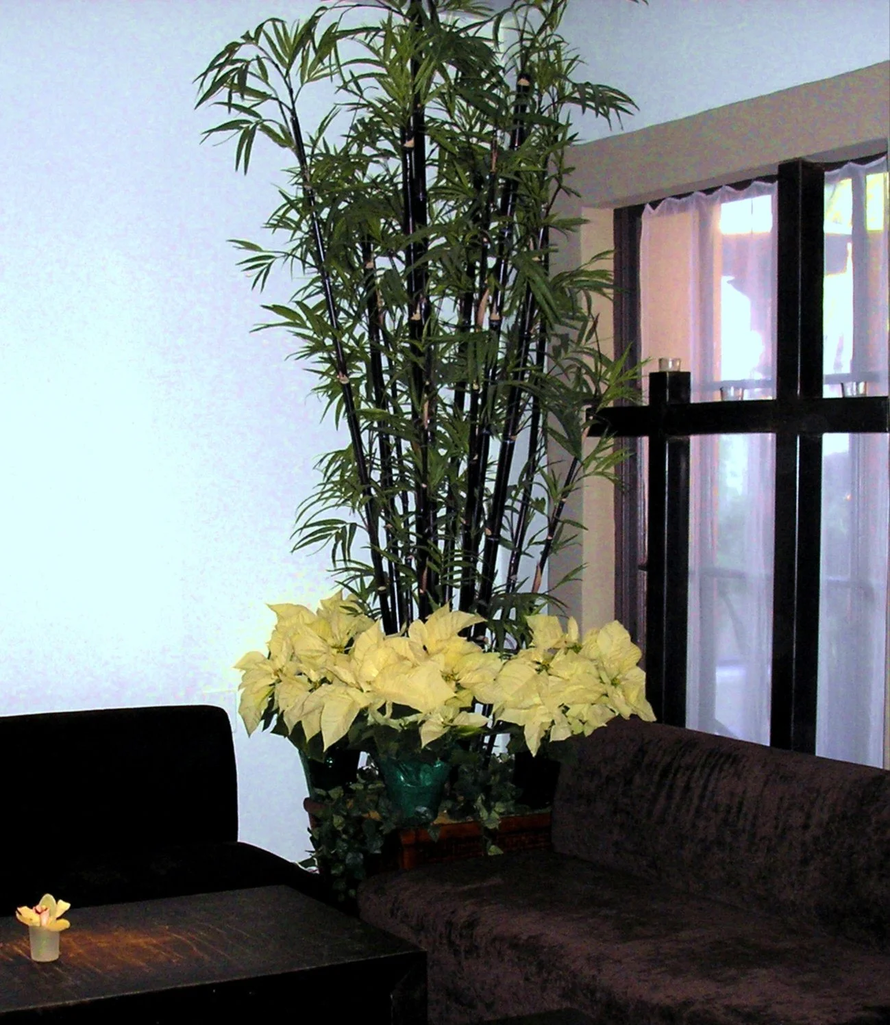 Restaurant Florist-Interior Scapes -events by Julie Jenkins (1).JPG