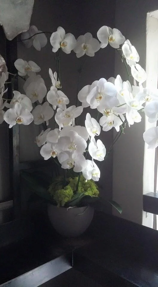 Restaurant Florist-Interior Scapes -events by Julie Jenkins (23).jpg