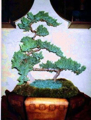 Interior Scapes-Restaurant Design by Julie Jenkins (6).jpg