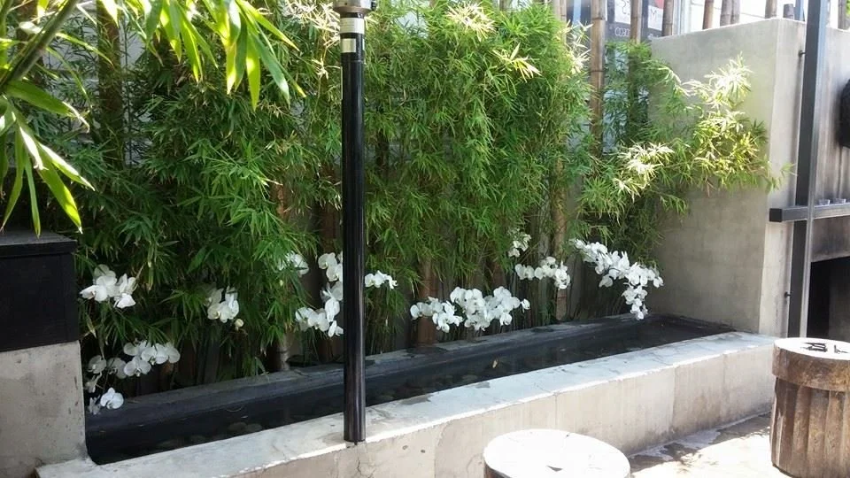 Restaurant Florist-Interior Scapes -events by Julie Jenkins (21).jpg