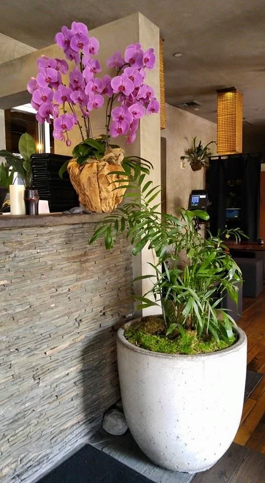restaurant florist_restaurant stylist_interior design_interior scapes by Julie jenkins (96).jpg