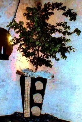 Interior Scapes-Restaurant Design by Julie Jenkins (10).jpg