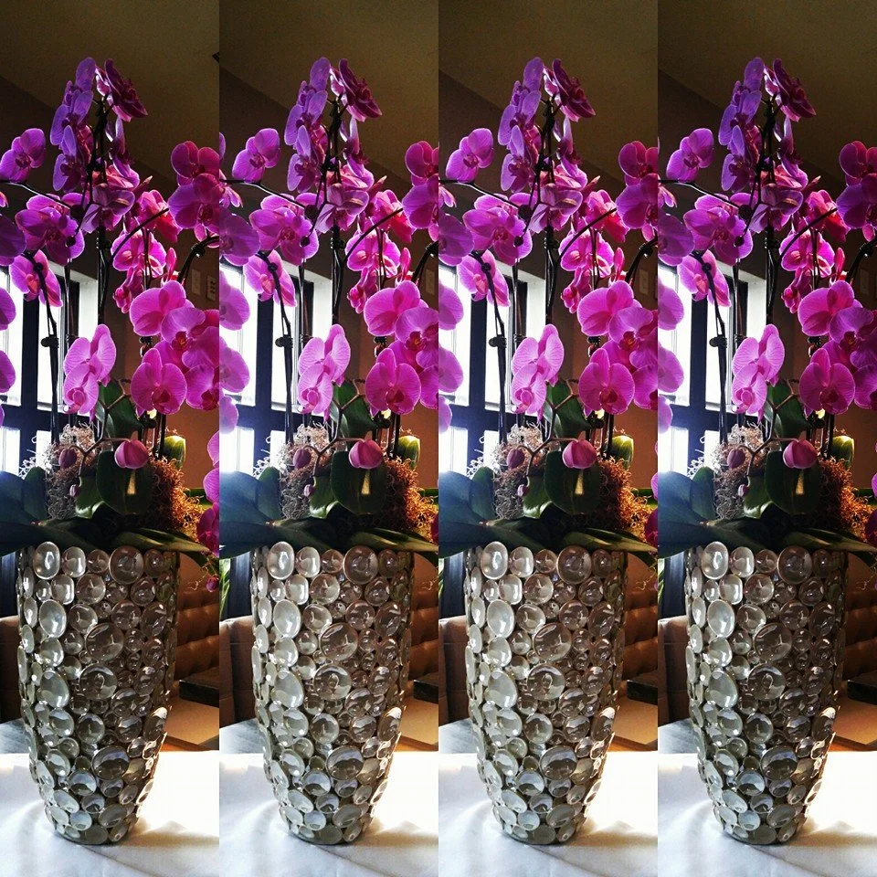 Restaurant Florist-Interior Scapes -events by Julie Jenkins (32).jpg