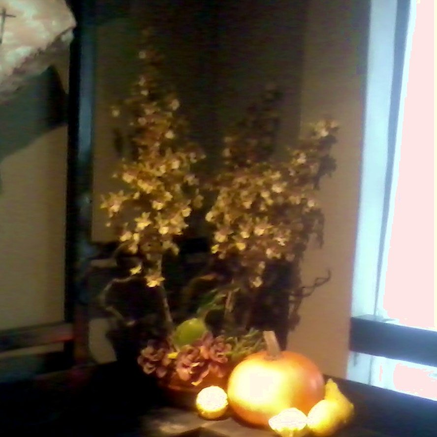 Restaurant Florist-Interior Scapes -events by Julie Jenkins (44).jpg