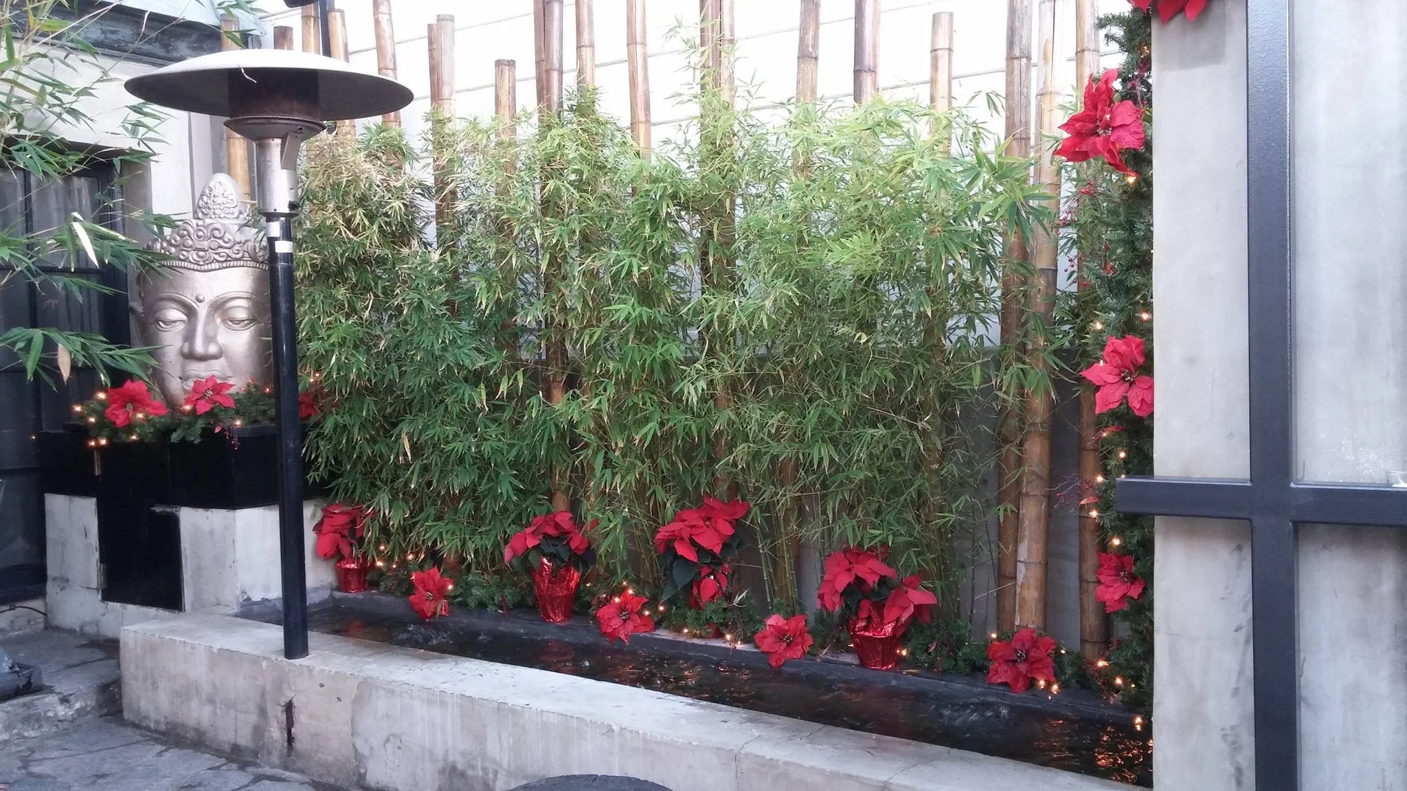 Restaurant Florist-Interior Scapes -events by Julie Jenkins (14).jpg