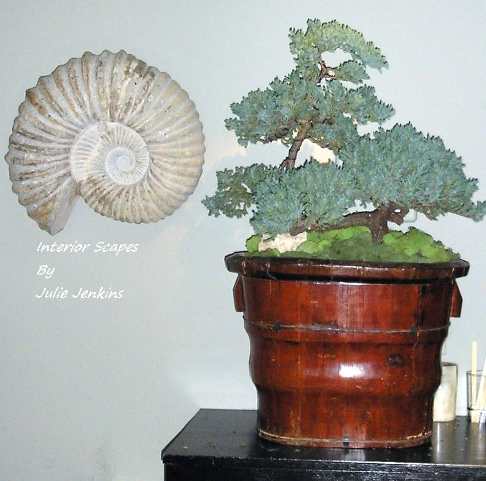 Restaurant Florist-Interior Scapes -events by Julie Jenkins (52).jpg