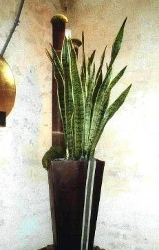 Interior Scapes-Restaurant Design by Julie Jenkins (5).jpg