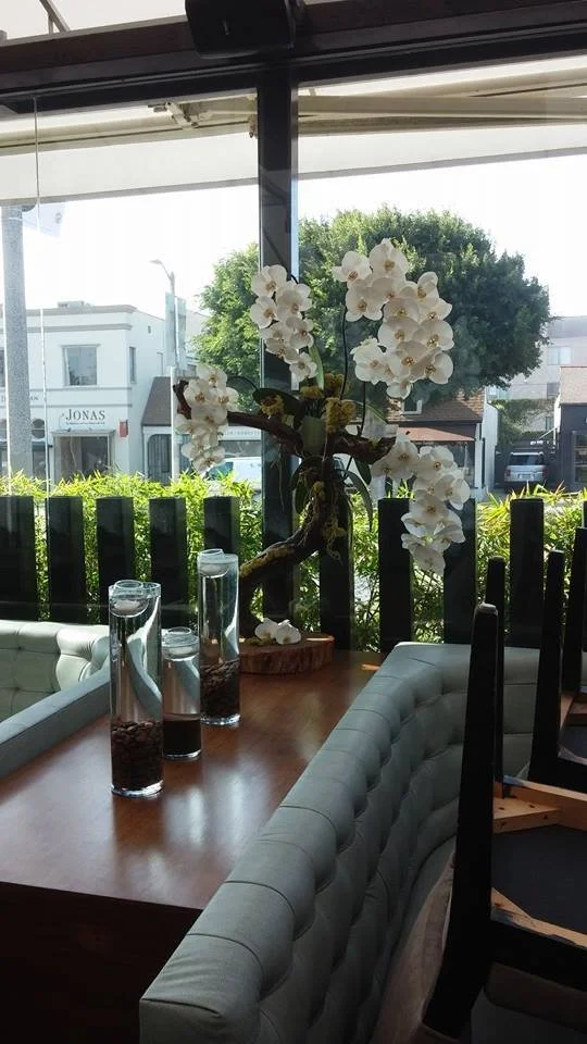 Restaurant Florist-Interior Scapes -events by Julie Jenkins (18).jpg