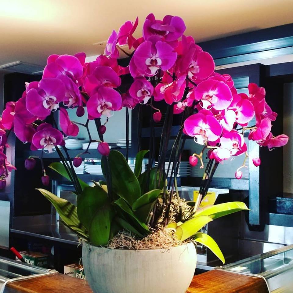 Restaurant Florist-Interior Scapes -events by Julie Jenkins (35).jpg