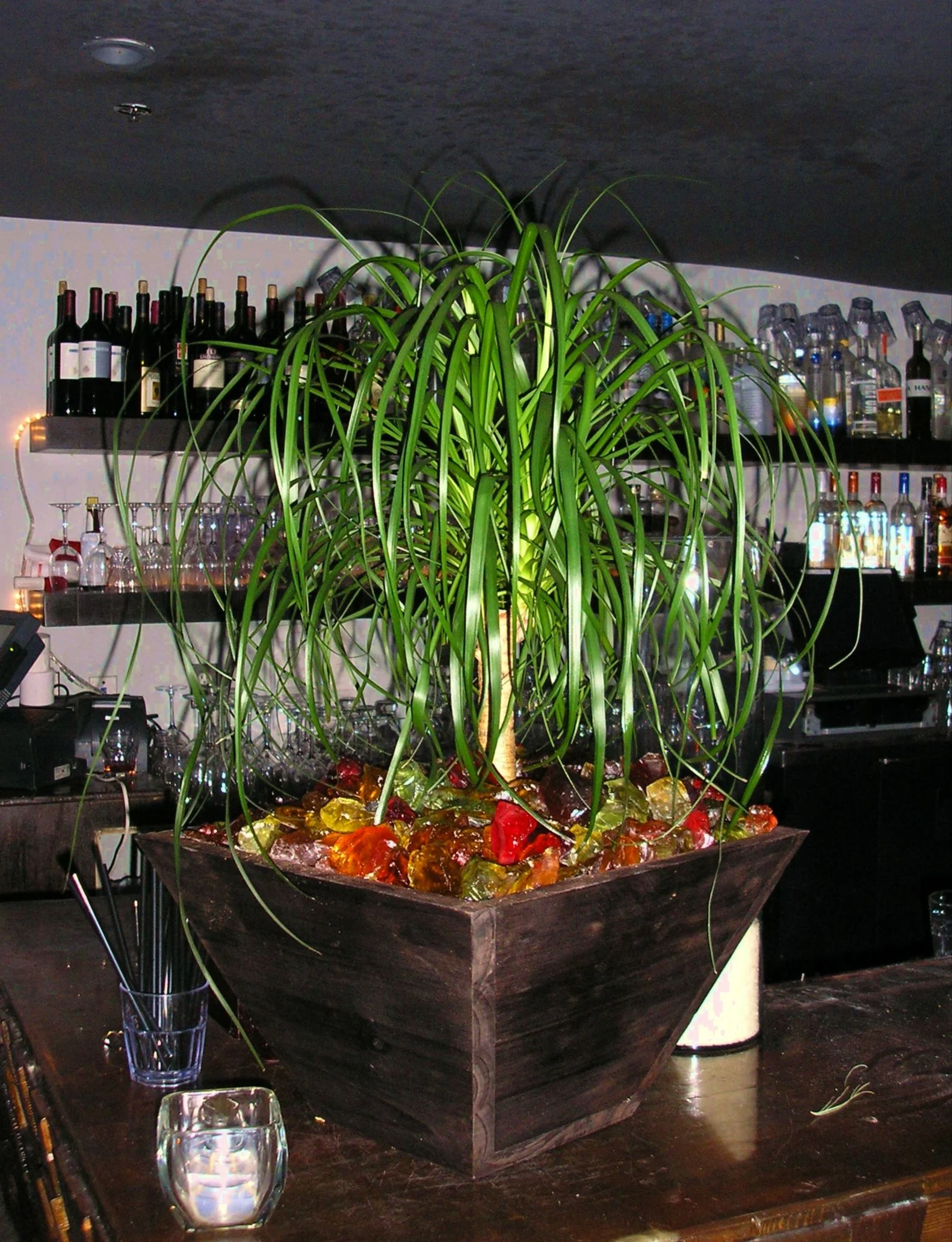Restaurant Florist- Interior Scapes by Julie Jenkins (9).JPG