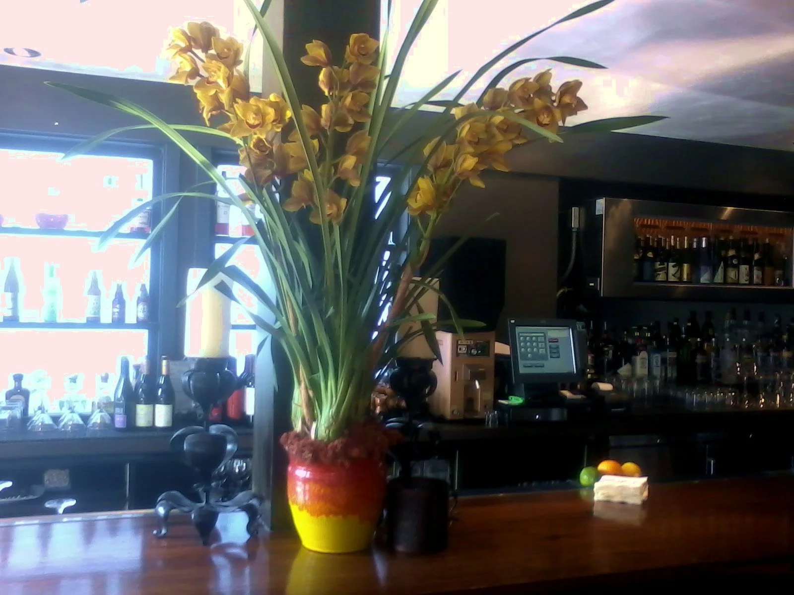 restaurant florist_restaurant stylist_interior design_interior scapes by Julie jenkins (127).jpg