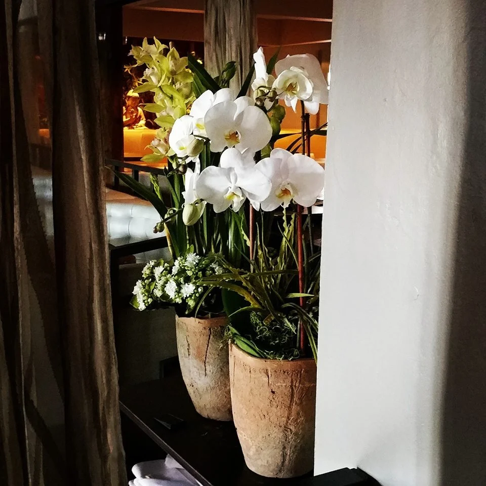 Restaurant Florist-Interior Scapes -events by Julie Jenkins (36).jpg