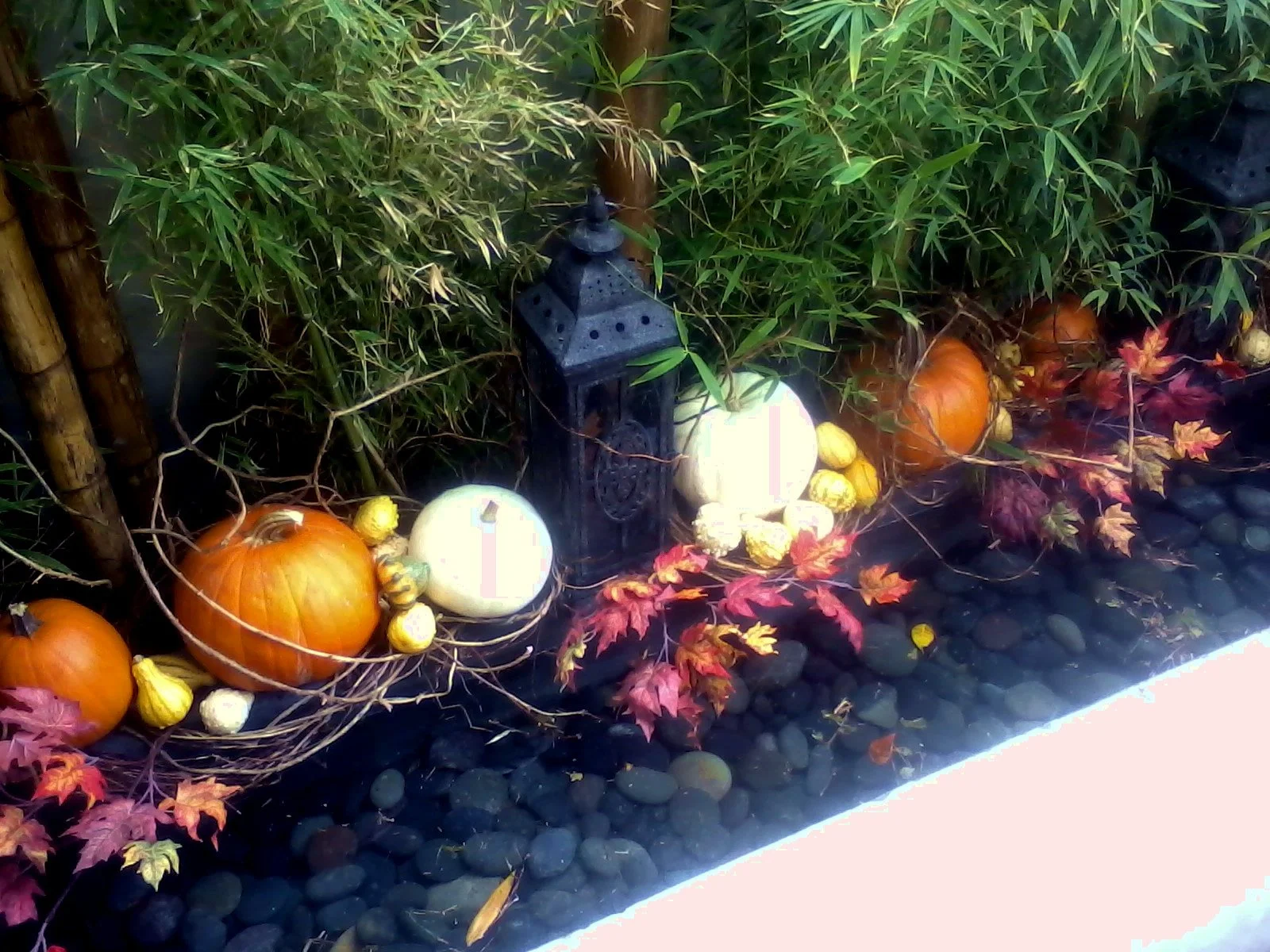 Restaurant Florist-Interior Scapes -events by Julie Jenkins (43).jpg