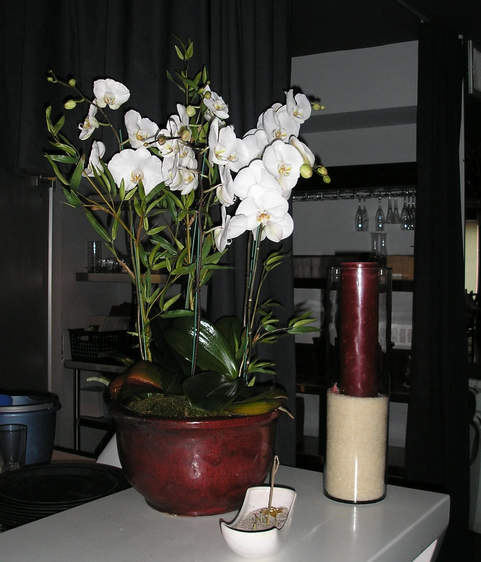 Restaurant Florist- Interior Scapes by Julie Jenkins (16).jpg