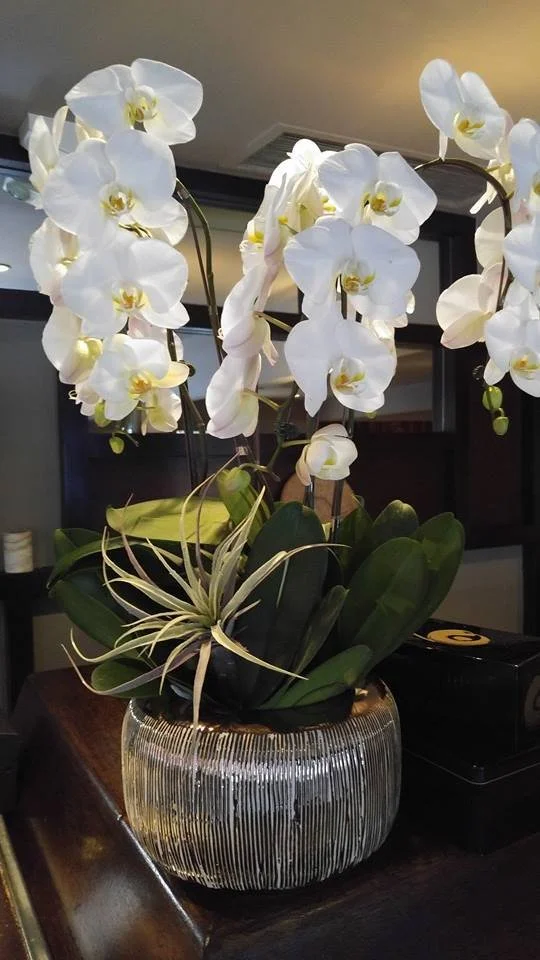 Restaurant Florist-Interior Scapes -events by Julie Jenkins (30).jpg