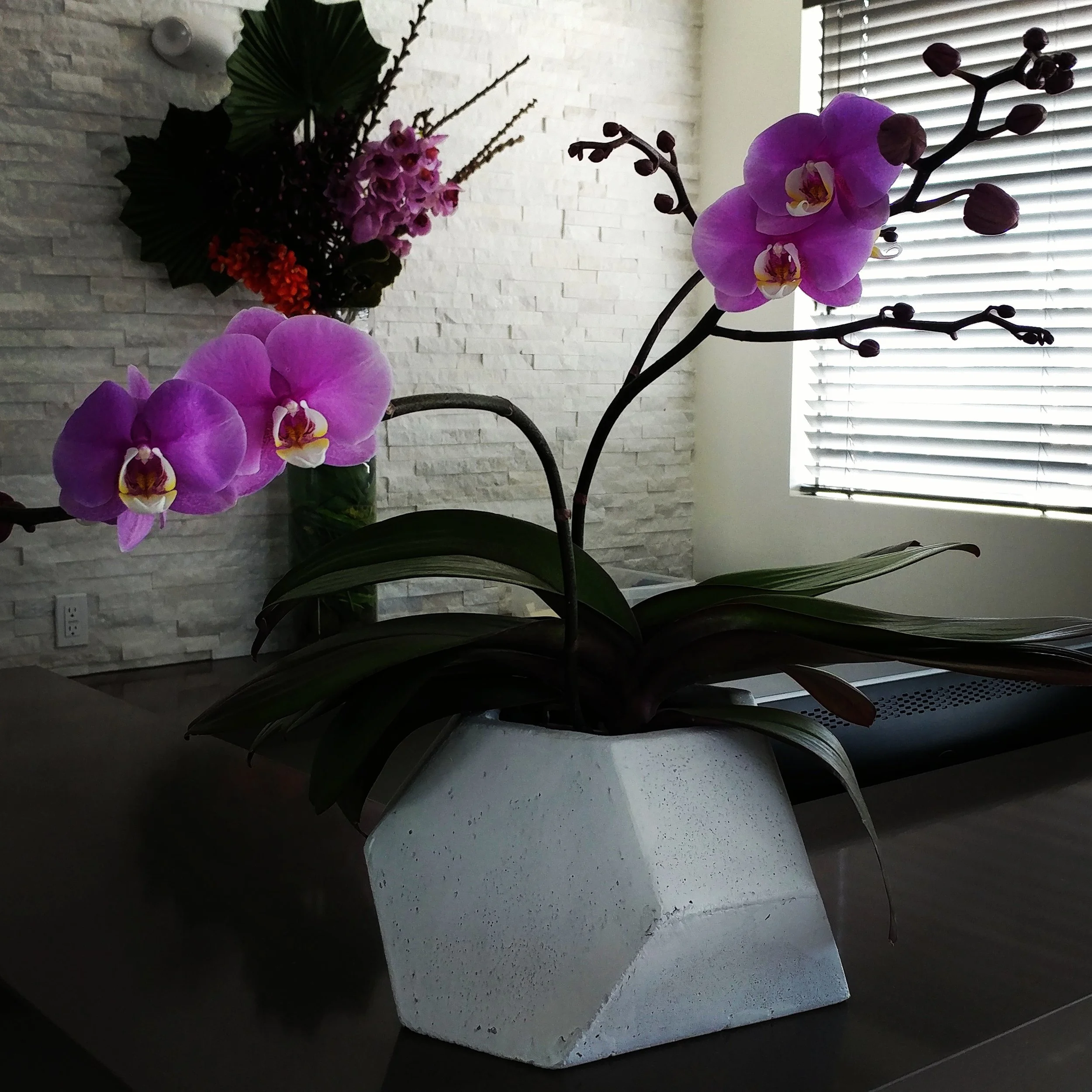 Restaurant Florist-Interior Scapes -events by Julie Jenkins (4).jpg