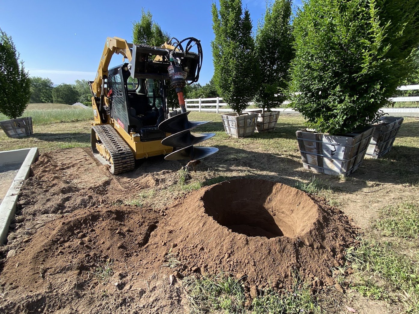 Augering with trees.jpg