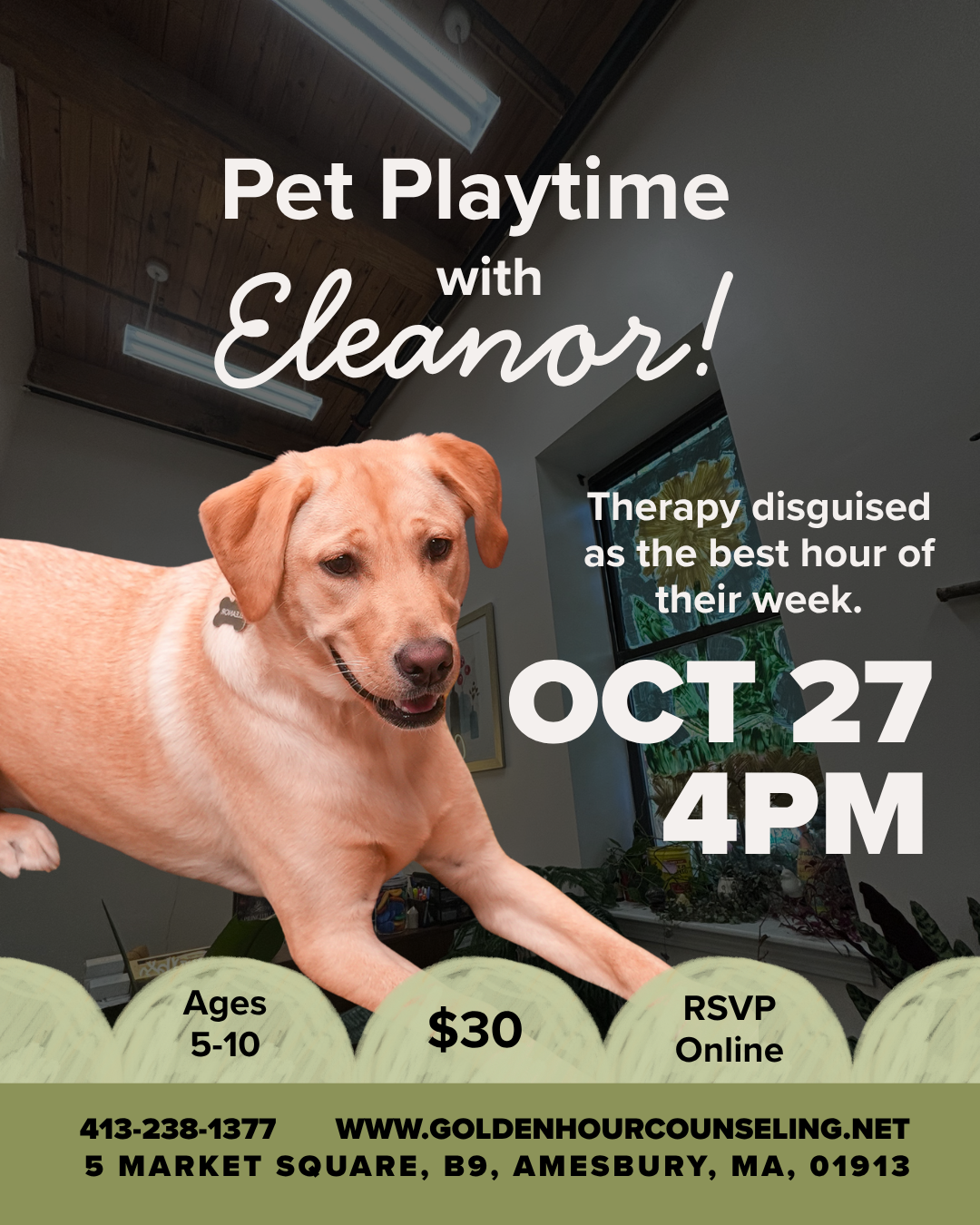 October 27th Puppy Playtime with Eleanor 🐾