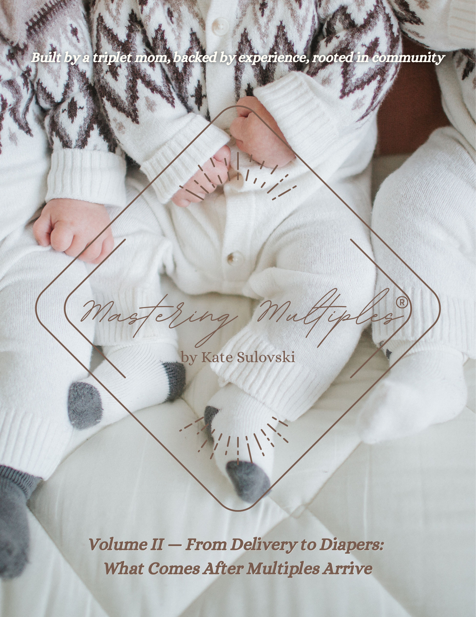 Mastering Multiples: Volume II — From Delivery to Diapers:  What Comes After Multiples Arrive