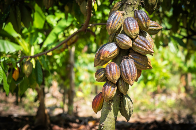 Untitled design(12).png