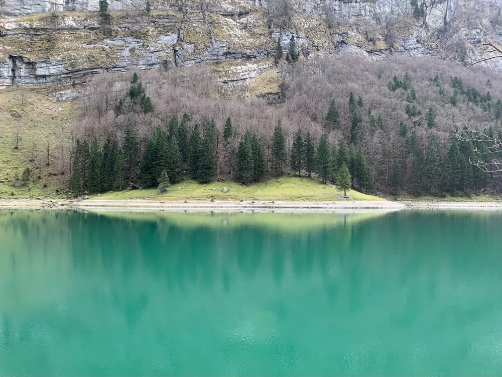 seealpsee baige 3.jpeg