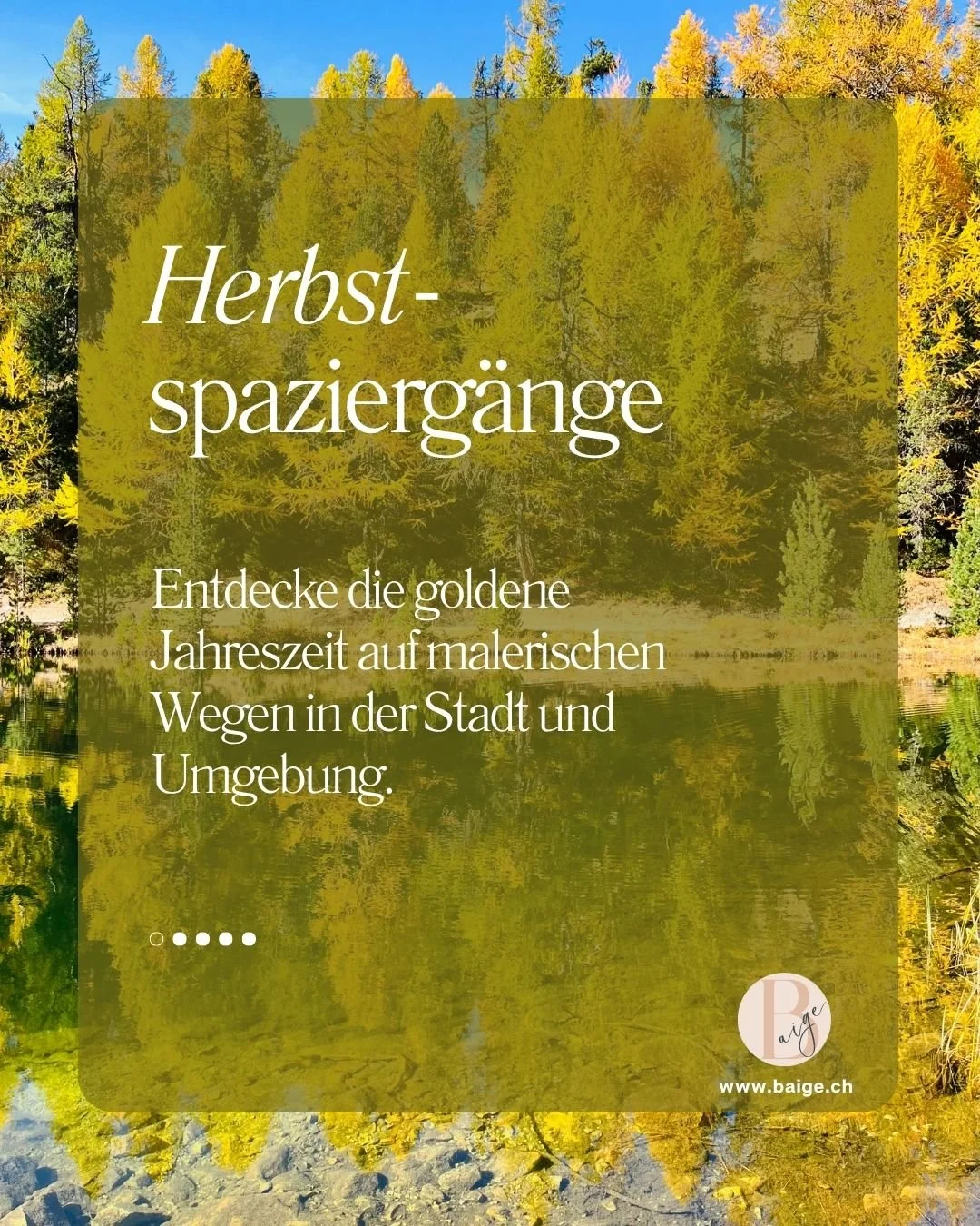 Goldene Zeit in Zürich und Umgebung 🍂
Gönn dir eine kleine Auszeit & entdecke die Herbstfarben rund um Zürich: von ruhigen Waldwegen bis zu Naturpfaden mit Ausblick 🌲✨
Entdecke unsere liebsten Routen – perfekt, um frische