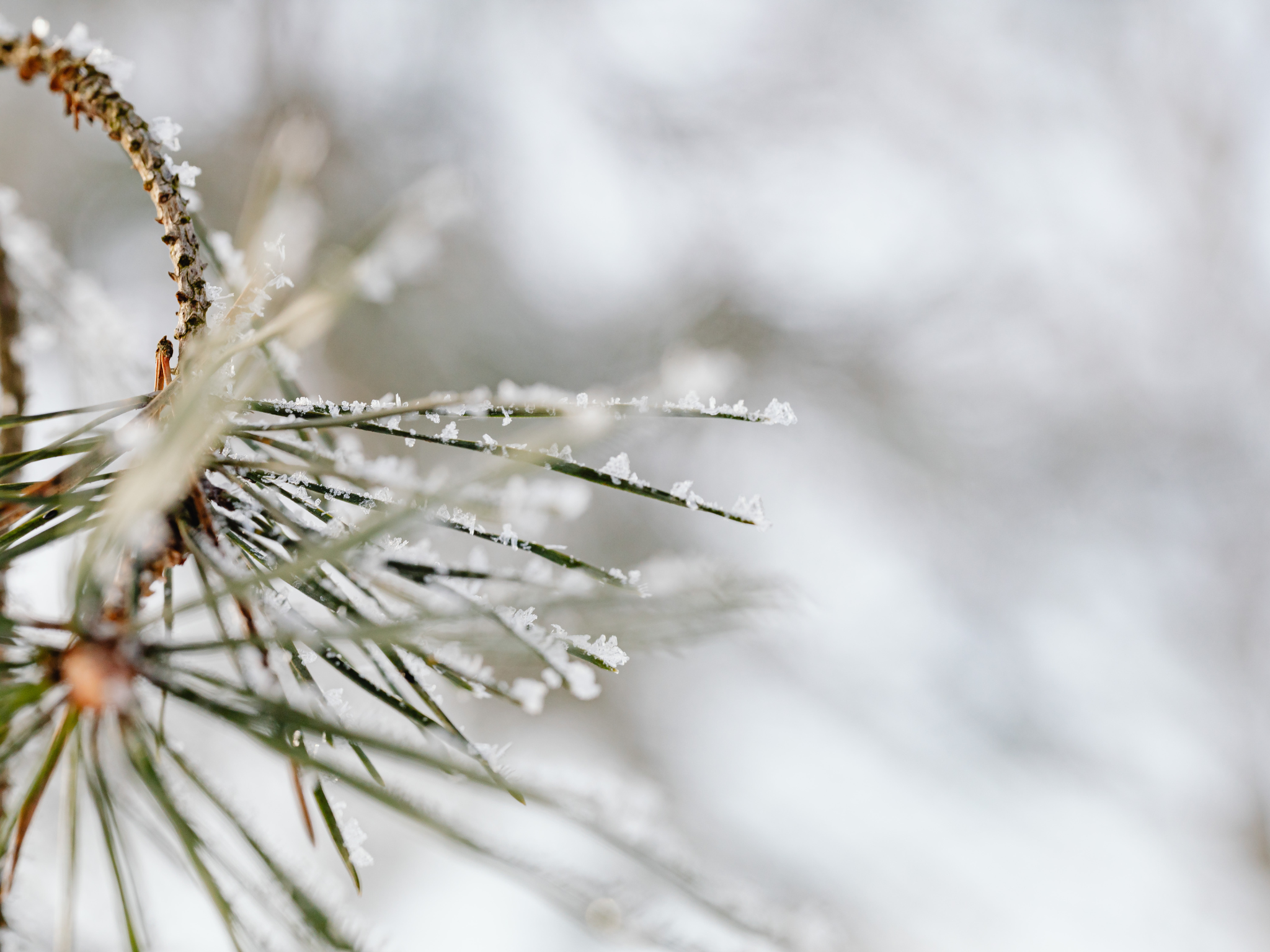 Winter Mood Booster