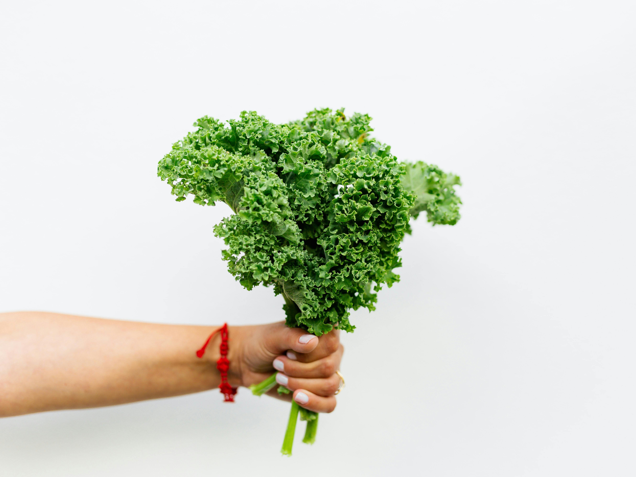 Schweizer Future Foods