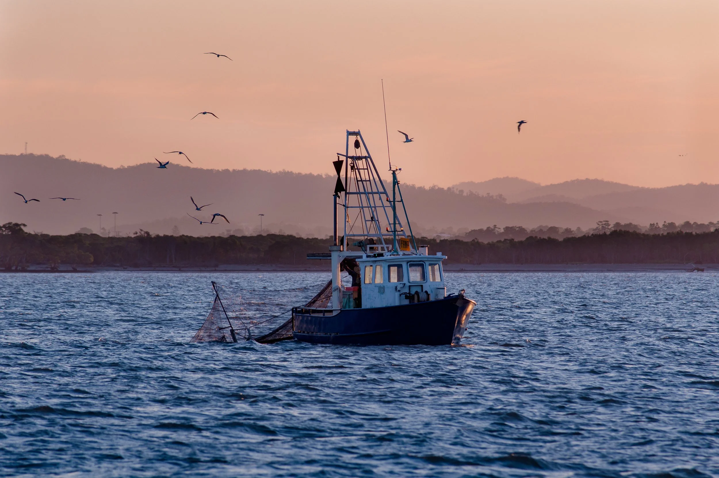 Fishing boat on the ocean at sunset with birds flying overhead and mountains in the background.
