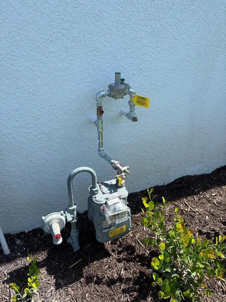Exterior utility gas meter with pipes and valves installed on the side of a building with a textured white wall and small green plants in mulch surrounding the base.