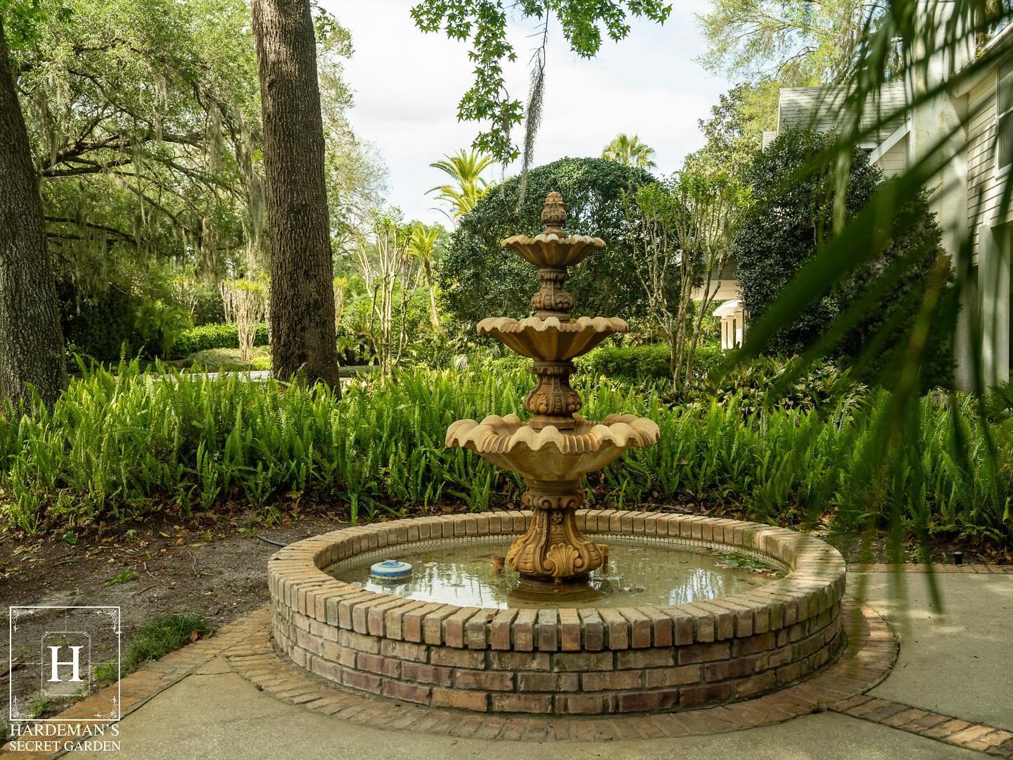 Explore the charm of Hardeman&rsquo;s Secret Garden, where our meticulous attention to detail sets us apart. Step into our venue and discover how our intricate craftsmanship creates unforgettable experiences.

https://www.hardemanssecretgarden.com/
#