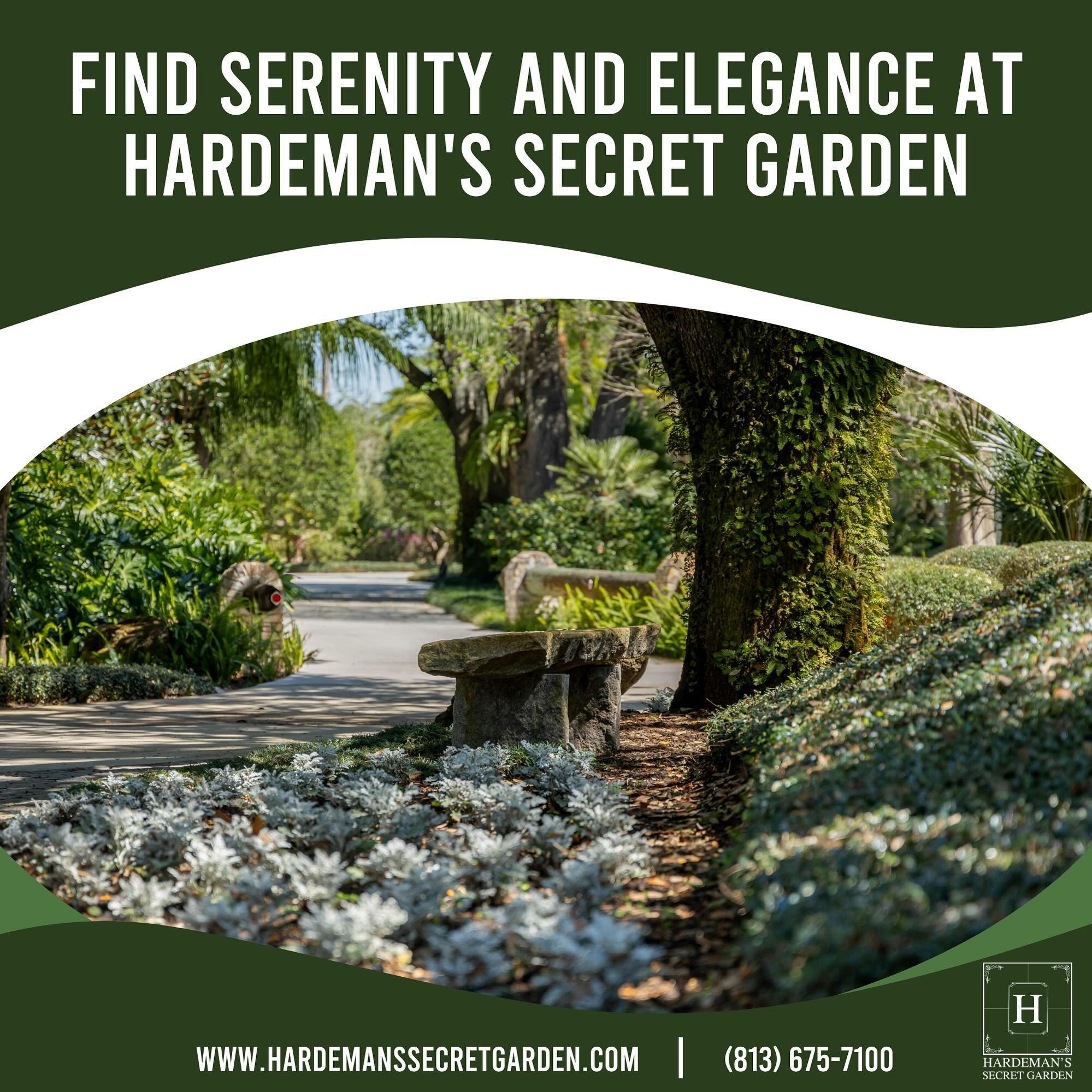 Find serenity and elegance at Hardeman&rsquo;s Secret Garden, the perfect venue for your special occasion. 

https://www.hardemanssecretgarden.com/
#hardemanssecretgarden #weddings #weddingreceptions #weddingvenue #weddingtime #wedding #weddingphotog