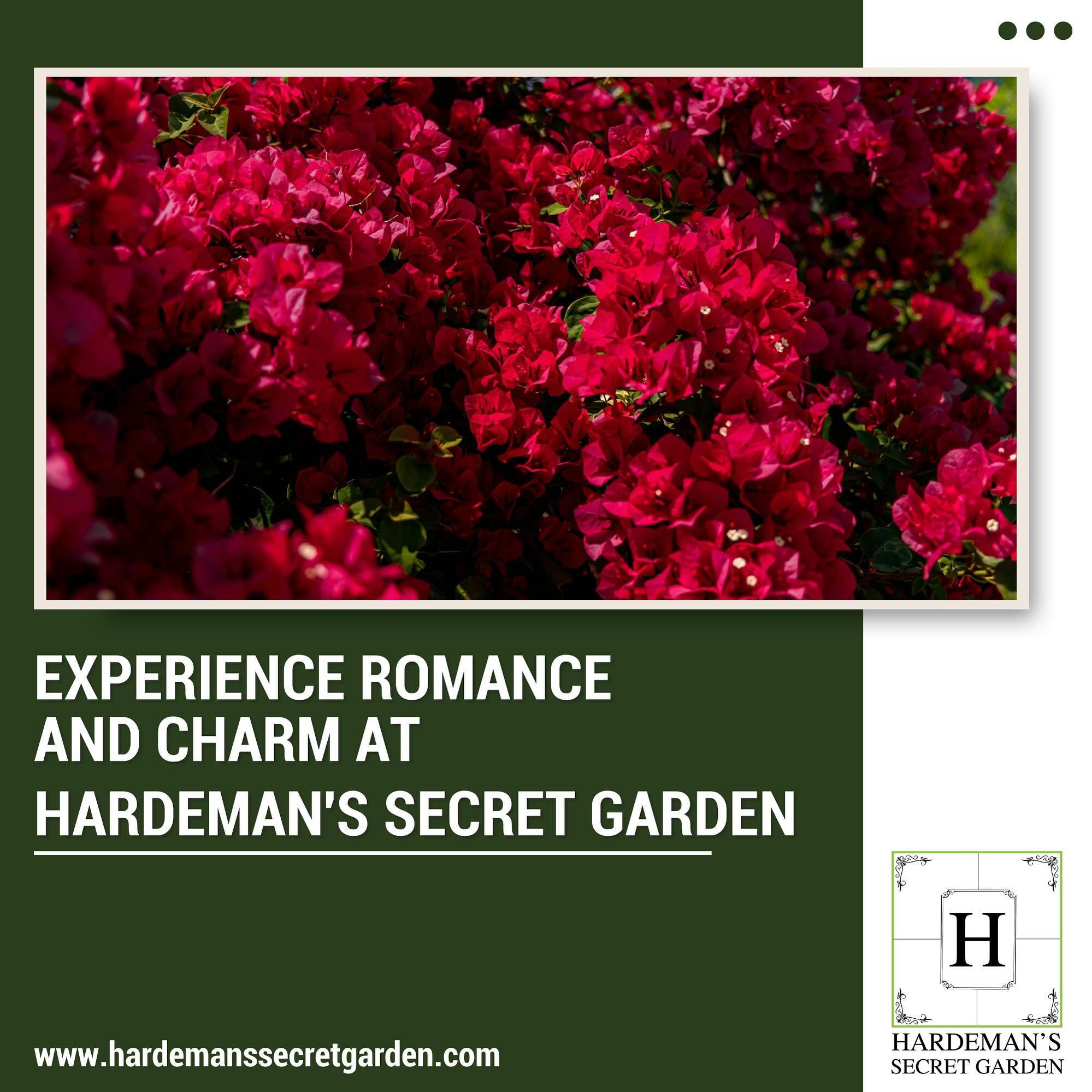 Experience romance and charm at Hardeman&rsquo;s Secret Garden, surrounded by lush greenery and delicate blossoms, creating the perfect backdrop for your celebration of love.

https://www.hardemanssecretgarden.com/
#hardemanssecretgarden #weddings #w