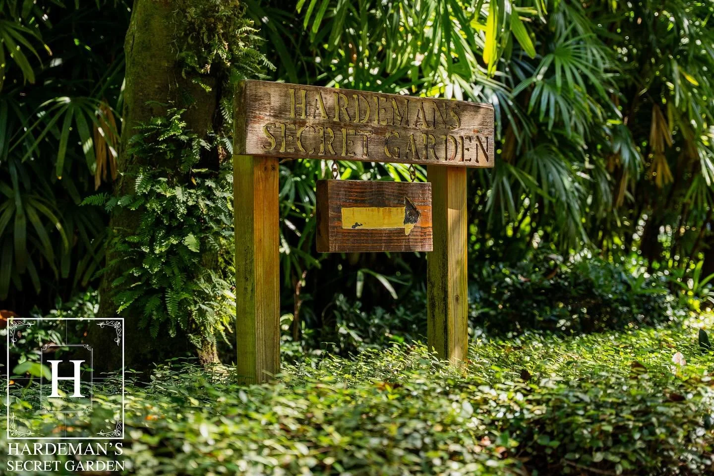 Come down to Hardeman’s Secret Garden and experience a place where nature, art, and architecture come together in harmony. Stroll through lush gardens, explore elegant spaces, and see why it’s one of Florida’s most unique hidden gem