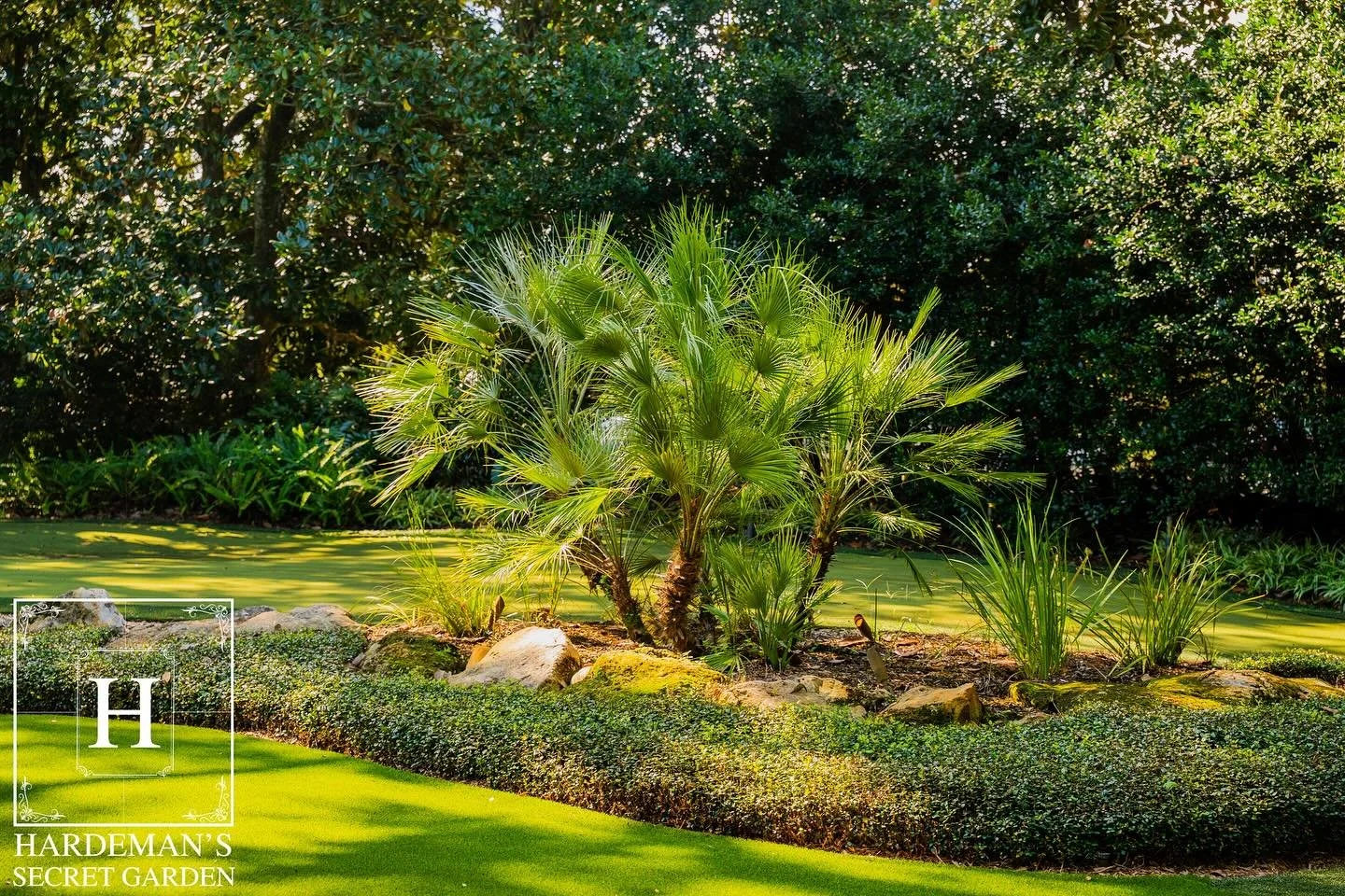 Every corner of Hardeman’s Secret Garden reflects meticulous care — from thriving flowers to manicured lawns and charming pathways.
#hardemanssecretgarden #weddings #weddingreceptions #weddingvenue #weddingtime #wedding #weddingphotograp