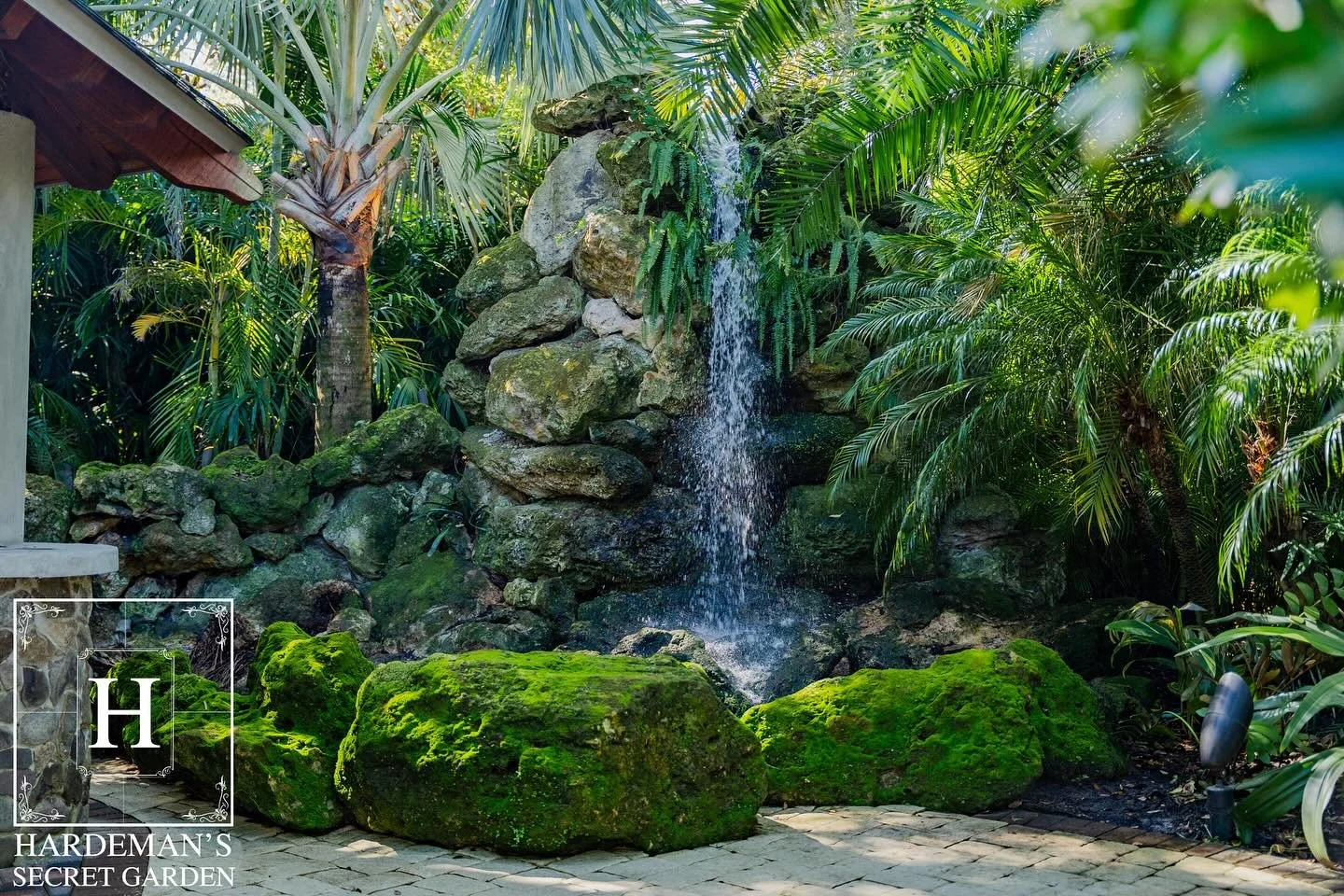 In the heart of the Tropical Garden, a gentle waterfall flows gracefully into a vibrant koi pond &mdash; a scene that captures the essence of Hardeman&rsquo;s Secret Garden.

#hardemanssecretgarden #weddings #weddingreceptions #weddingvenue #weddingt