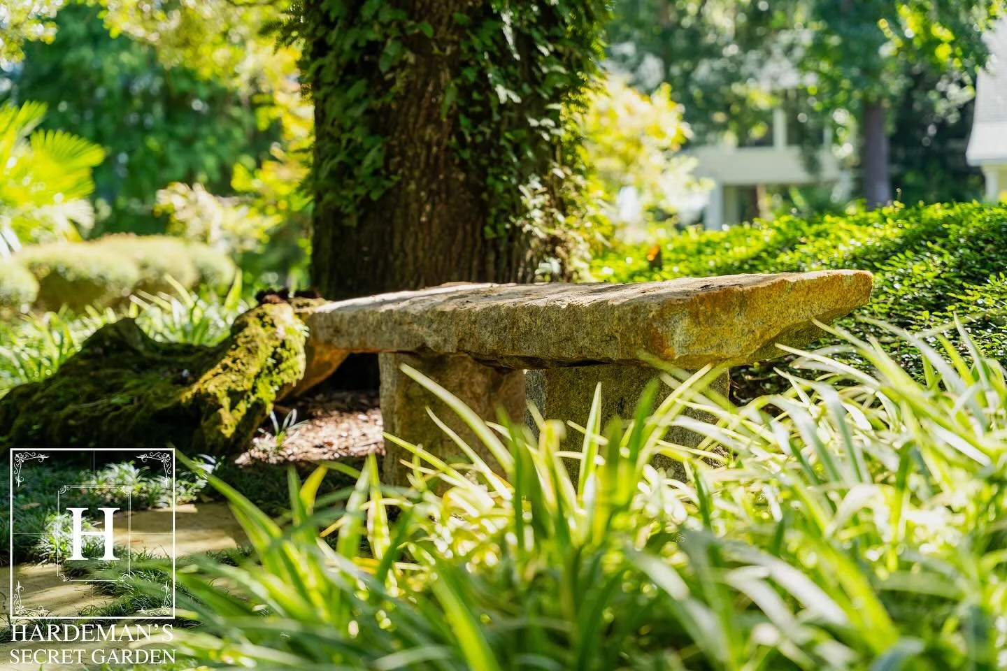 Beauty blooms in every corner of Hardeman&rsquo;s Secret Garden.

#hardemanssecretgarden #weddings #weddingreceptions #weddingvenue #weddingtime #wedding #weddingphotography #weddings #weddingplanner #weddingideas #weddingphoto #weddingdecor #wedding