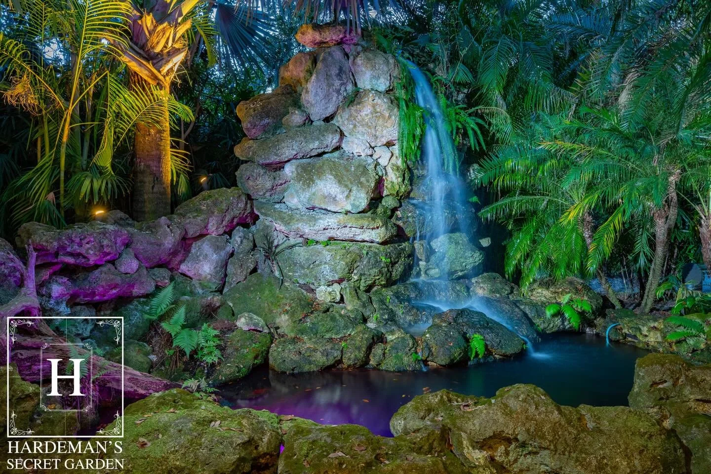 Tucked within the Tropical Garden, the koi pond adds a peaceful, eye-catching element with gently moving water and vibrant fish below the surface.

hardemanssecretgarden.com
#hardemanssecretgarden #wedding #weddingvenue