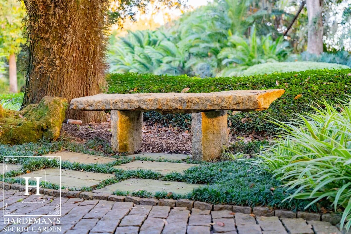 Hardeman&rsquo;s Secret Garden is a place where natural beauty and thoughtful design come together effortlessly.
With diverse spaces, winding paths, and a calm, inviting atmosphere, it&rsquo;s a setting that feels special from the moment you arrive a