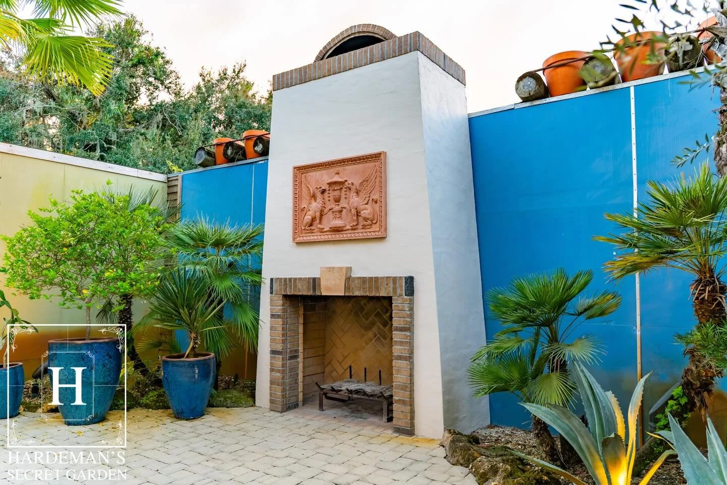 The Succulent Garden at Hardeman&rsquo;s Secret Garden stands out with bold textures, unique plant life, and a warm, inviting feel.

hardemanssecretgarden.com
#hardemanssecretgarden #wedding #weddingvenue