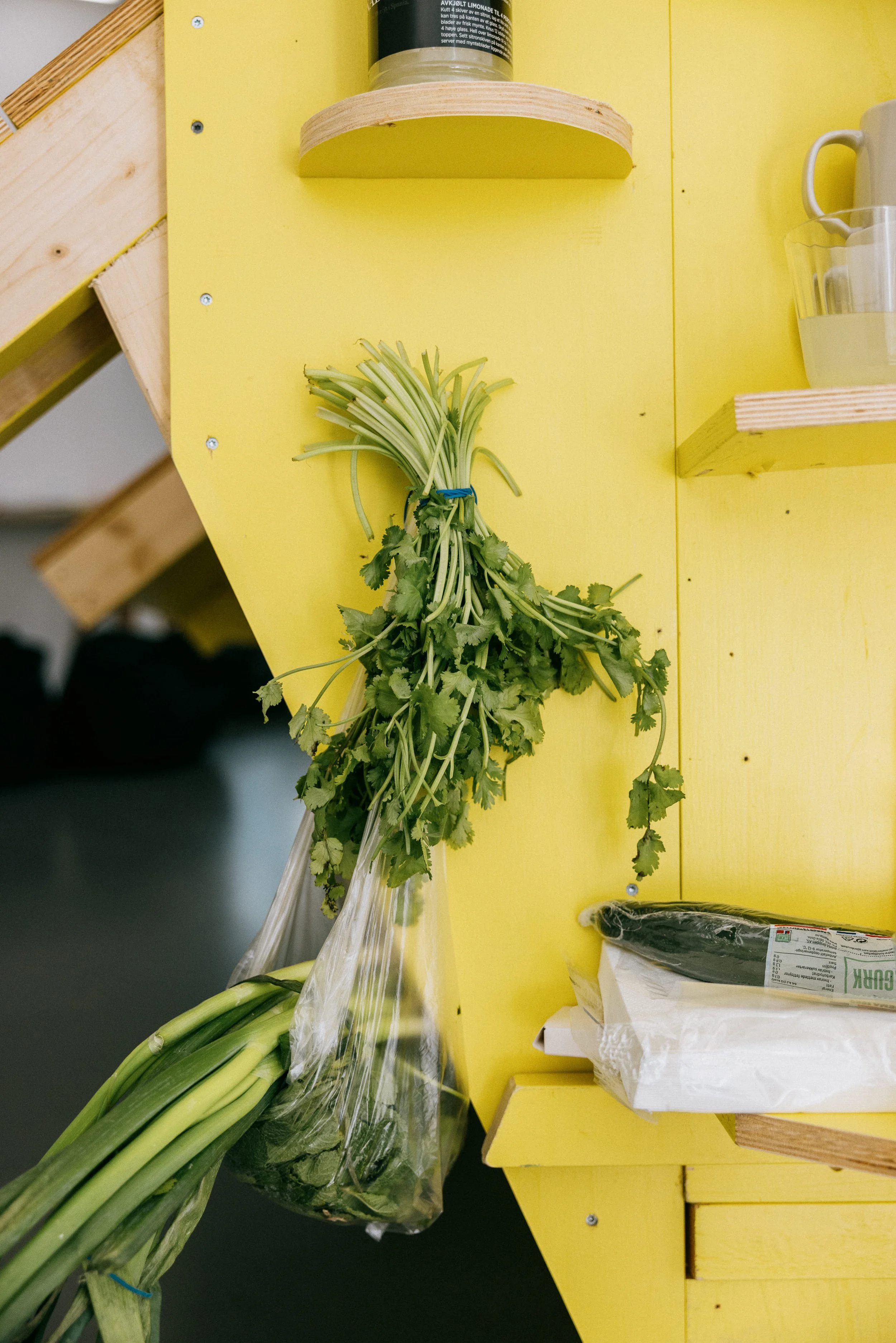 Fresh ingredients hanging on Fergus Tibbs art installation. Food was prepared in the gallery for visitors