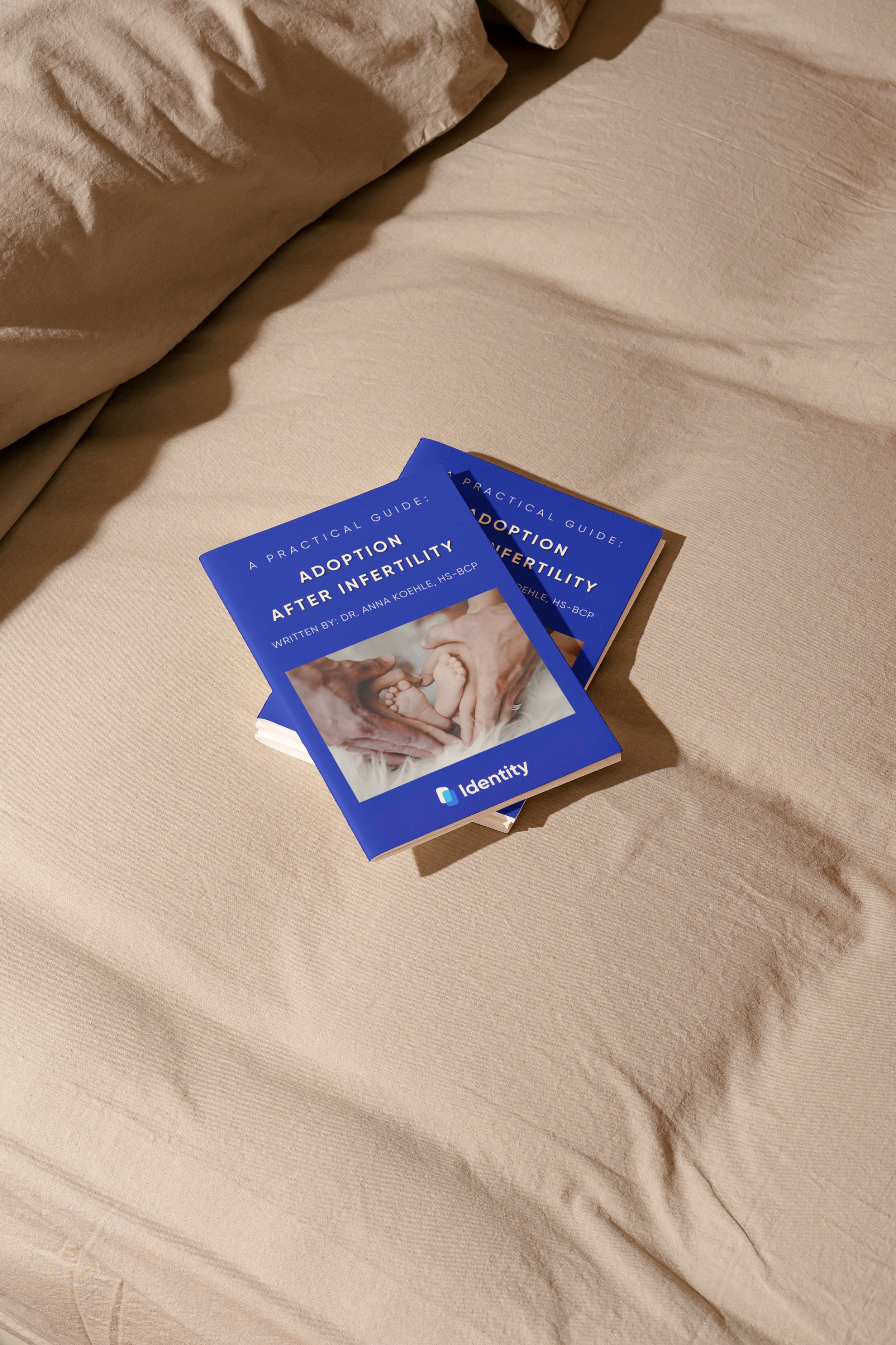 Practical+Guide+AAI+Cover.jpg