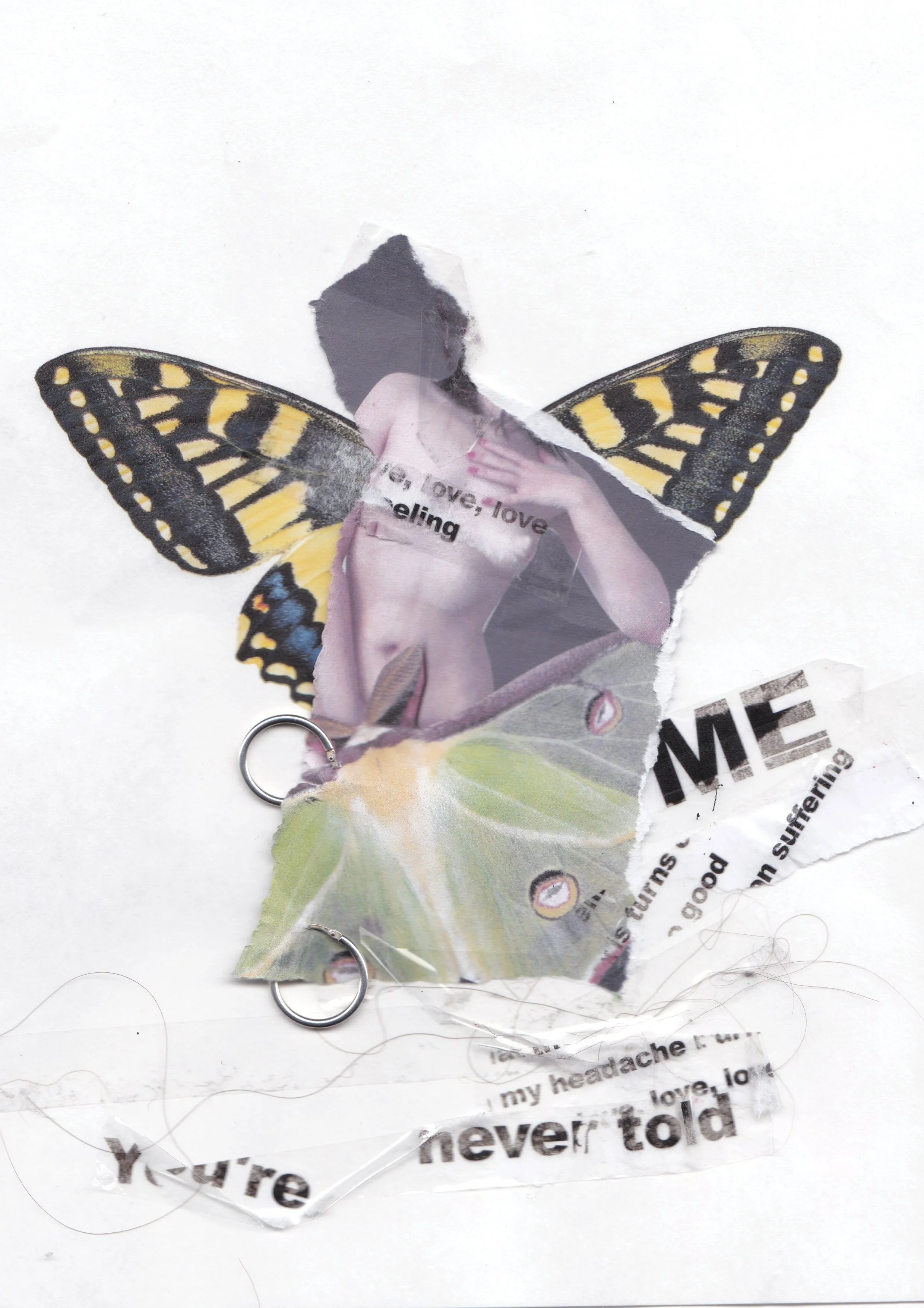 collage.jpg