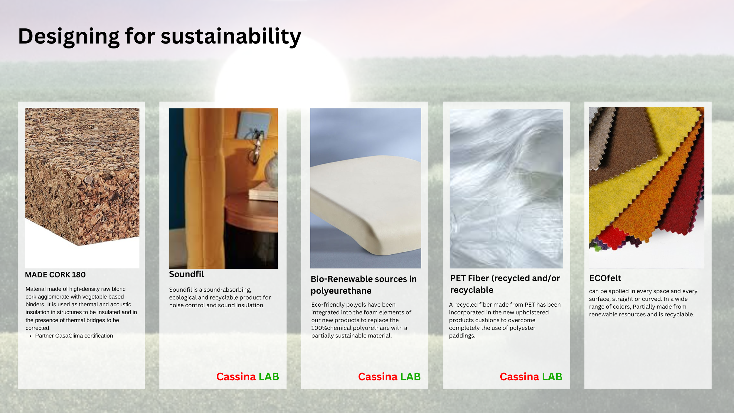 Copy of Portfolio DOTAutoSYMCassina2 (3).png