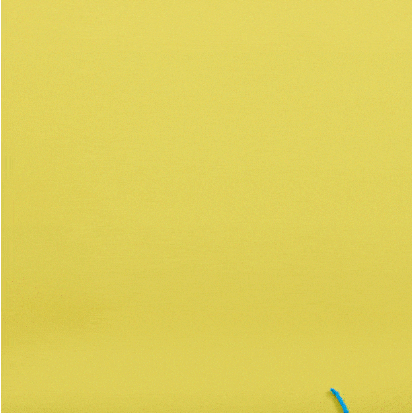 PixieDustBrightsDinocopy10.36.27AM-ezgif.com-optimize.gif