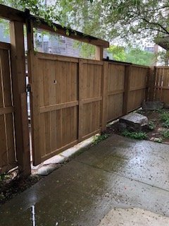 garden2.jpg