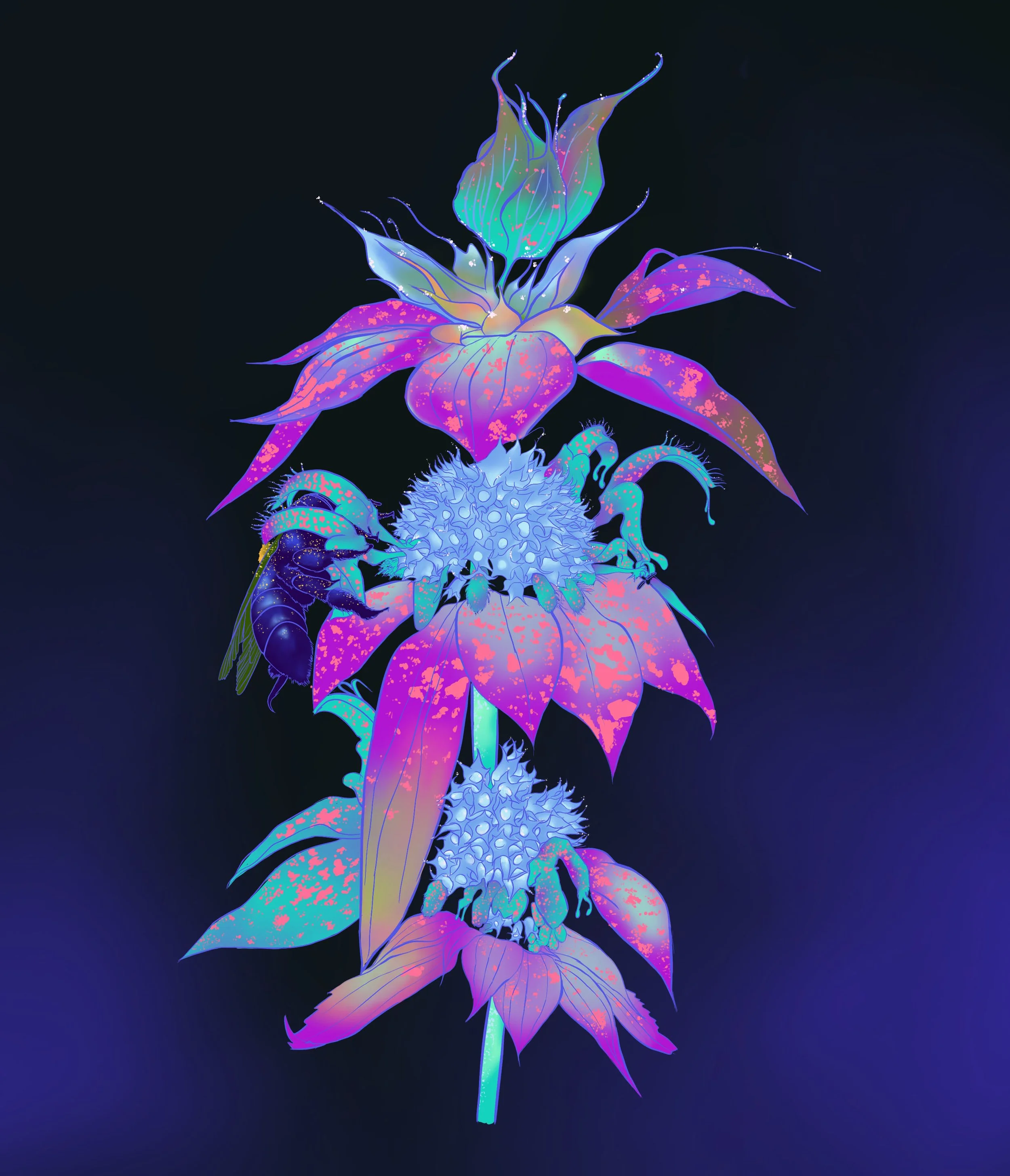 Amuk Kji Nestmumk.jpg